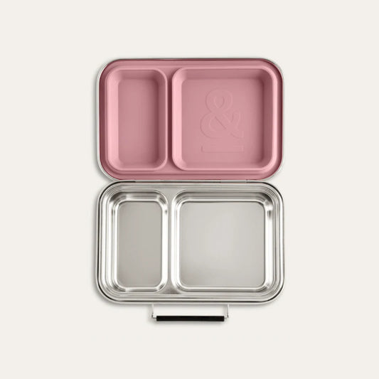 Seed & Sprout - Bento Lunch Box