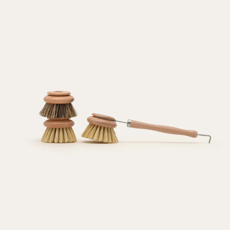 Seed & Sprout - Dish Brush Set
