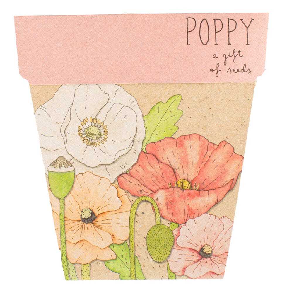 Sow n Sow - Gift of Seeds