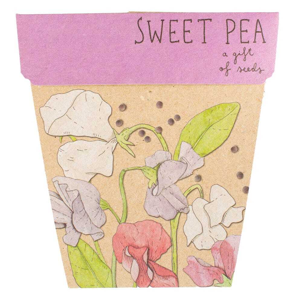 Sow n Sow - Gift of Seeds