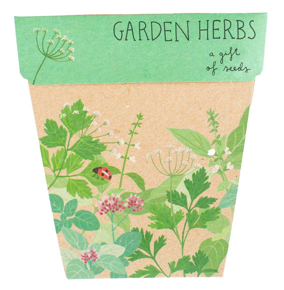 Sow n Sow - Gift of Seeds