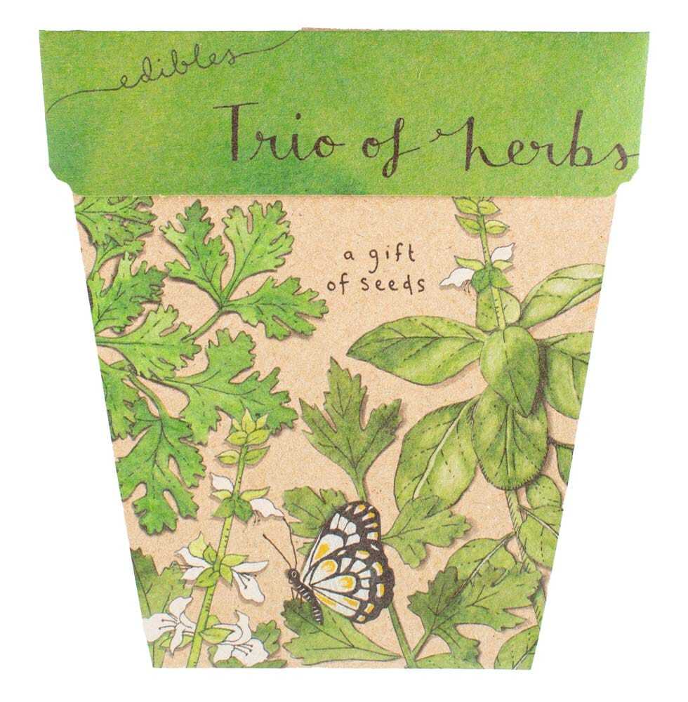 Sow n Sow - Gift of Seeds
