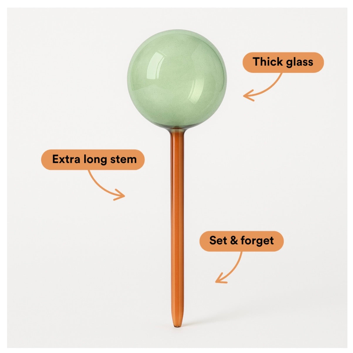 We the Wild - Self Watering Plant Globes