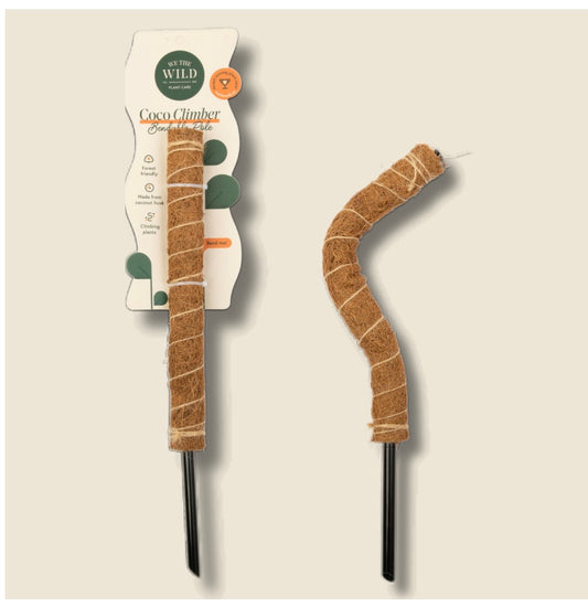 We the Wild - Coco Climber