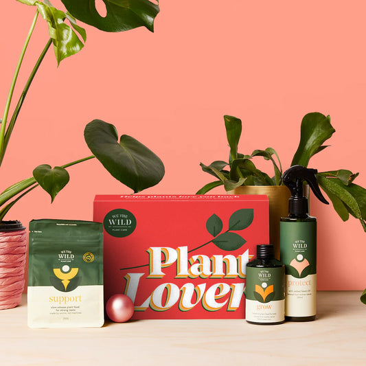 We the Wild - Plant Lover Plant Care Kit