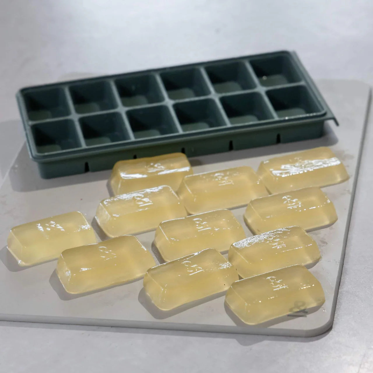 Seed & Sprout - 12 Portion Silicone Freezer Tray ‘Eucalyptus’
